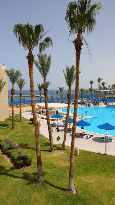 Ausblick Beach Albatros Resort