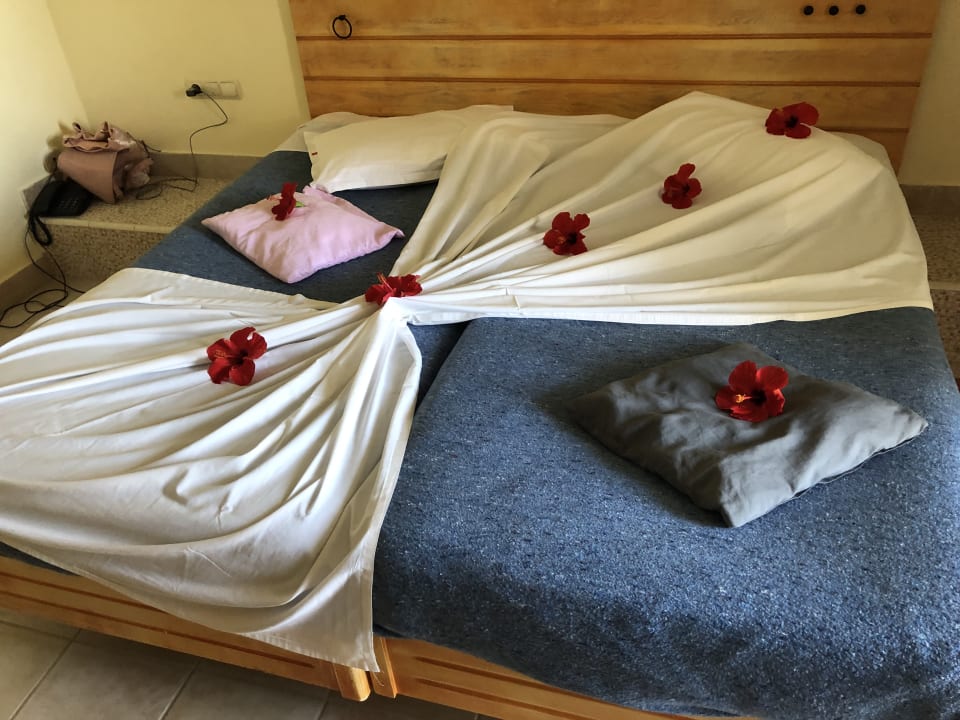 Zimmer Hotel El Borj