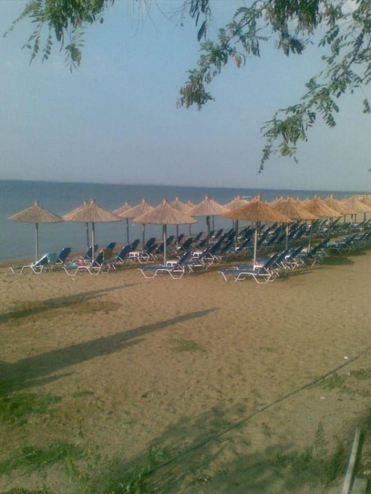 Der Strand Hotel Melissa Gold Coast