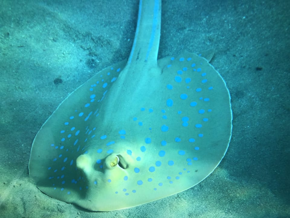 Strand Brayka Bay Resort