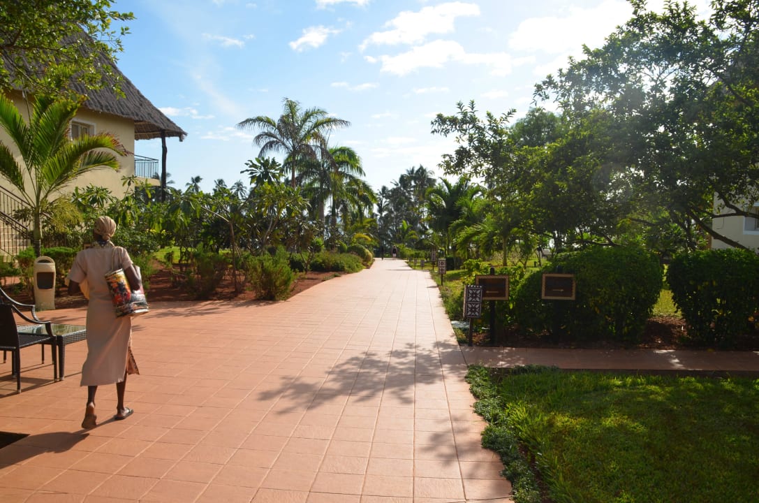 Weg zum Strand  TUI Blue Bahari Zanzibar