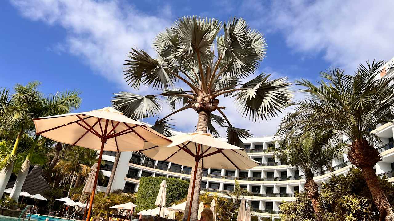 Außenansicht Seaside Hotel Palm Beach