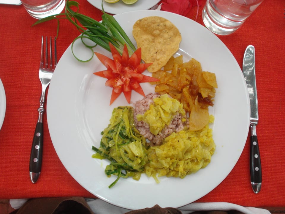 Ayurvedische Küche Hotel Sri Lanka Ayurveda Garden & Shakti Villa