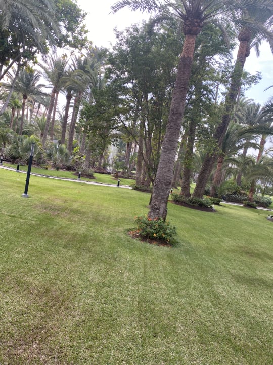 Gartenanlage Hotel Riu Palace Oasis
