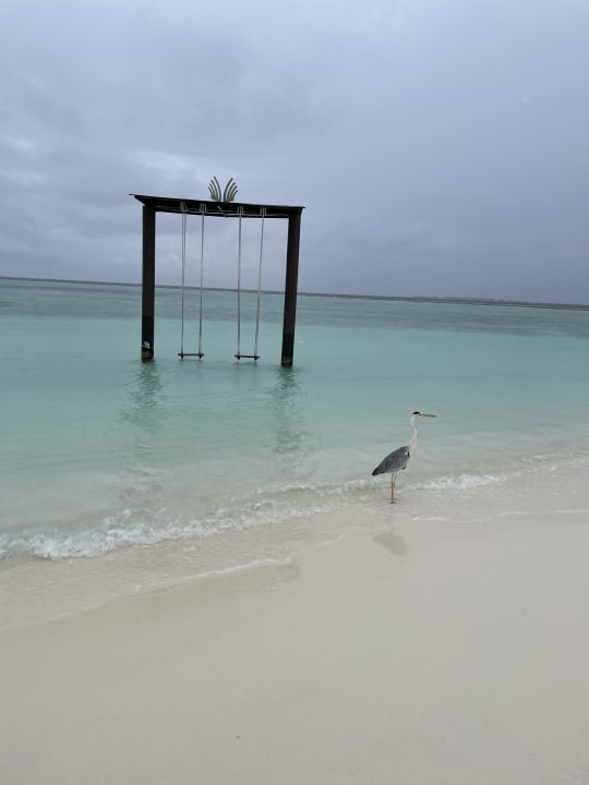 Strand Adaaran Select Meedhupparu Island Resort - Premium All Inclusive