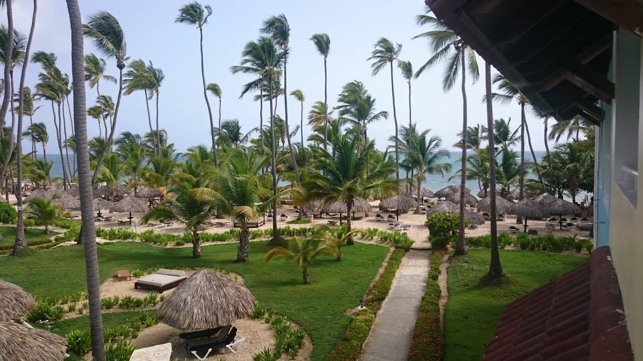 Ausblick vom Zimmer  TRS Turquesa Hotel - Adults only