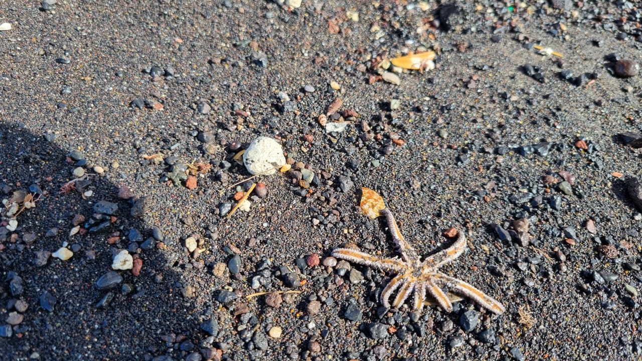 Sonstiges Hotel Riu Palace Tenerife