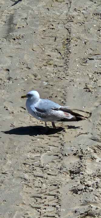 Sonstiges Hotel & Ferienpension Elisabeth