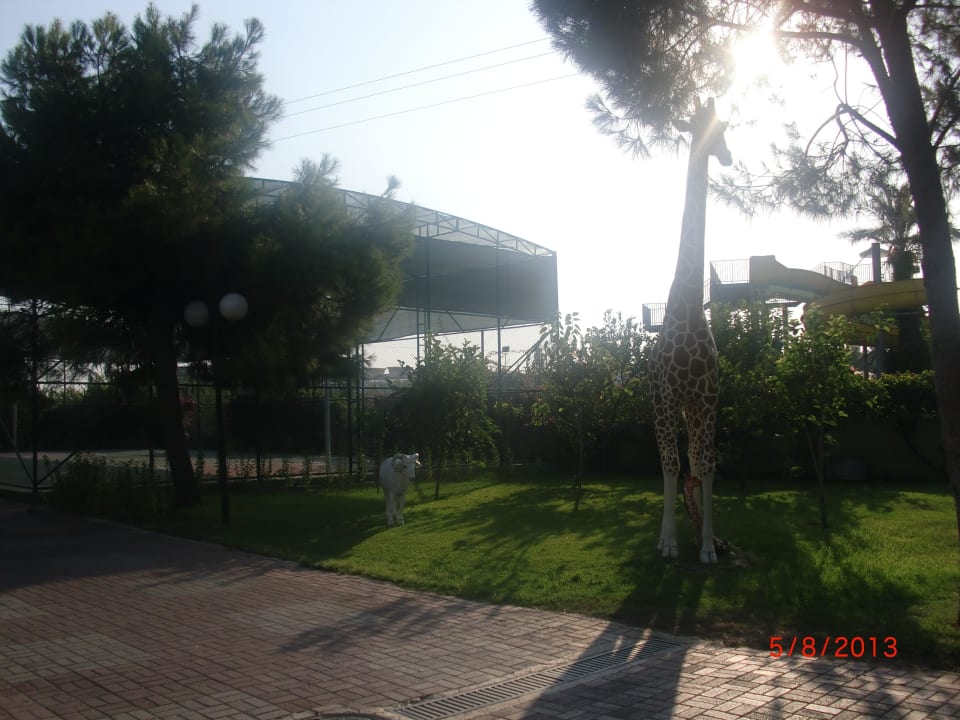 VON Club Golden Beach VONRESORT Golden Beach