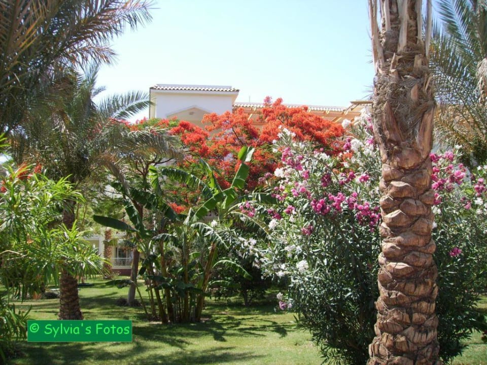 Gartenanlage The Grand Hotel Hurghada