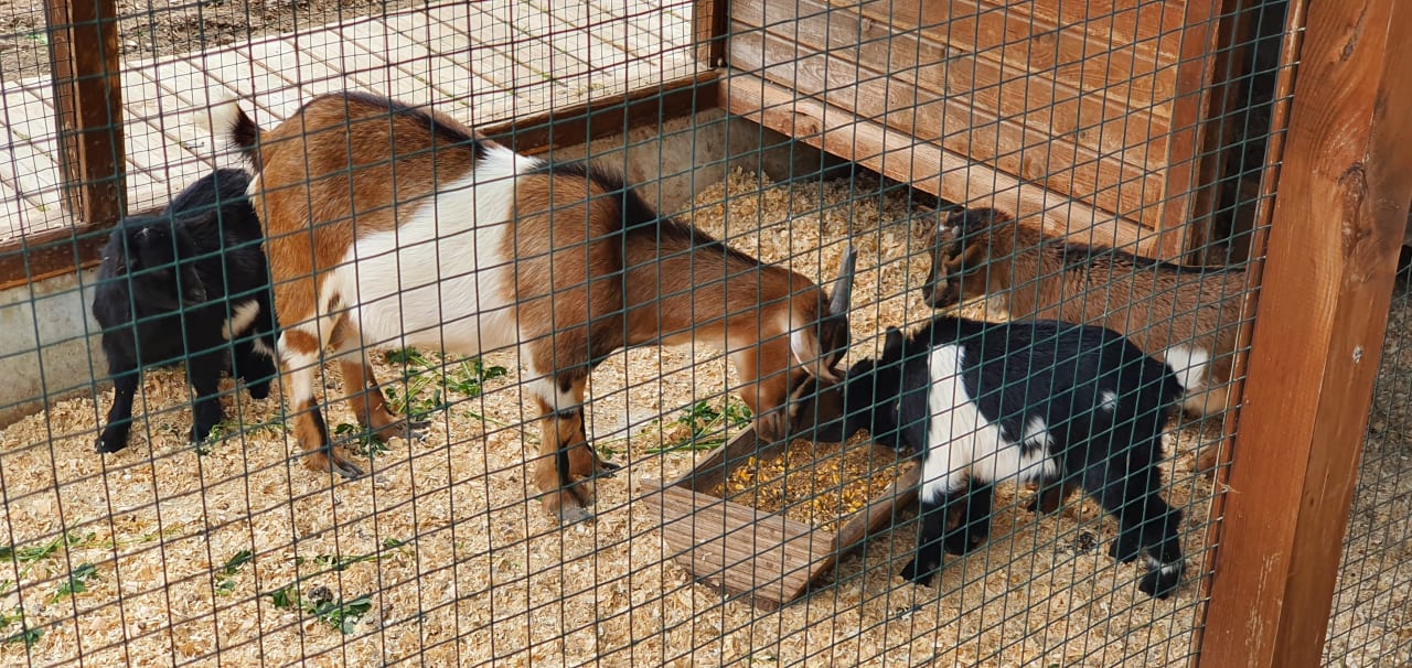 Außenansicht Rixos Premium Tekirova