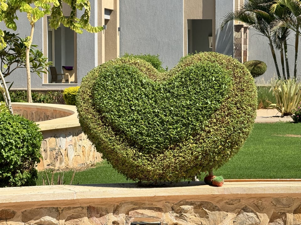 Gartenanlage Lazuli Hotel Marsa Alam