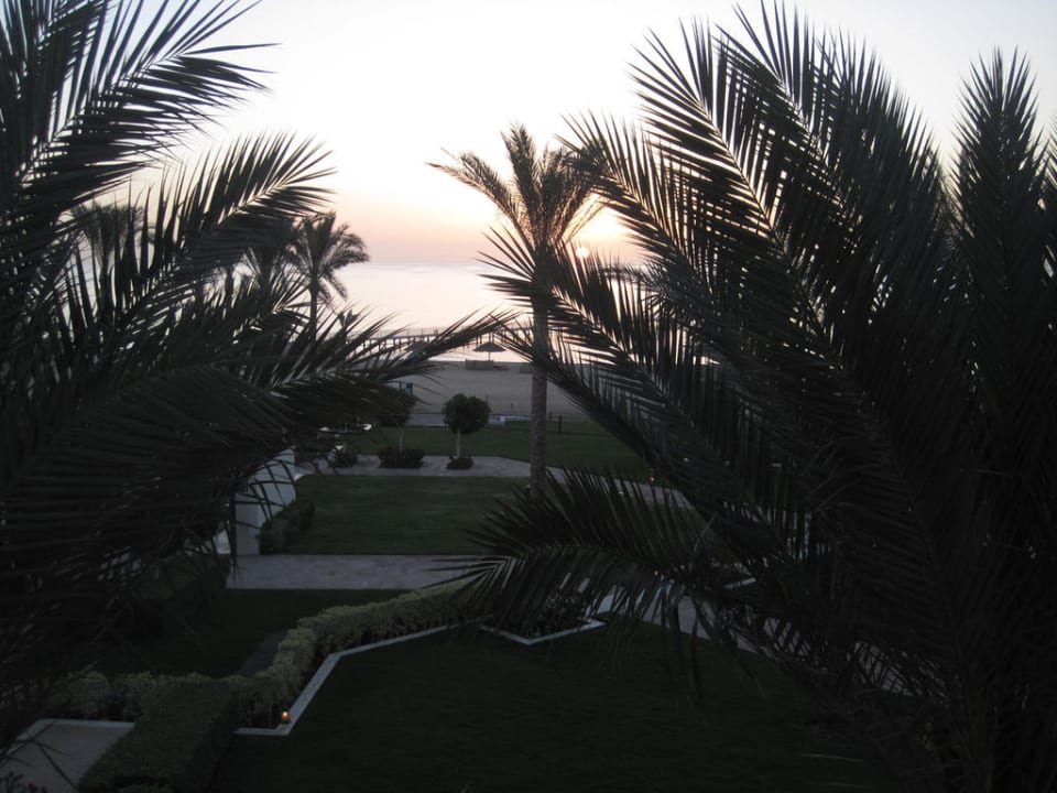 Sonnenaufgang vom Balkon aus Pickalbatros Palace Hotel-Port Ghalib