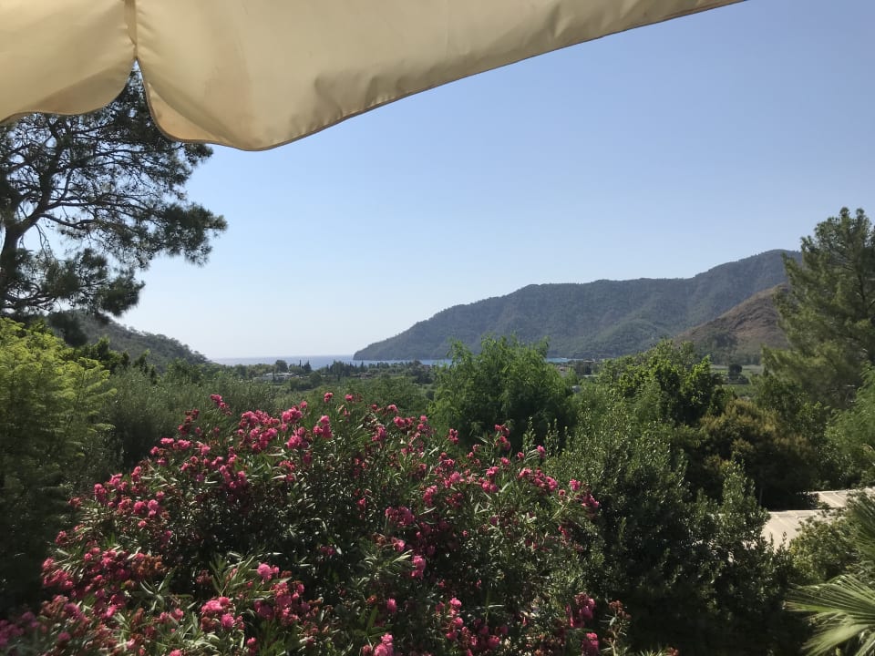 Ausblick LYKIA lodge | home of happiness