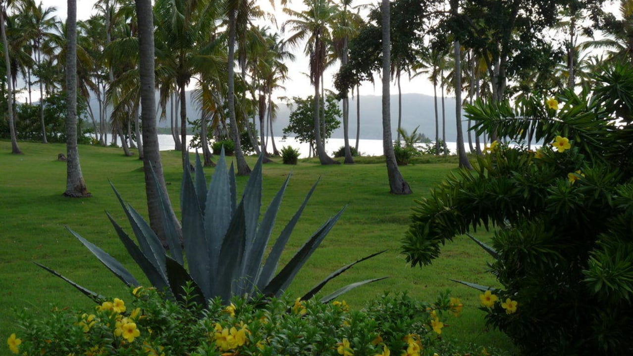 Blick vor dem Haupteingang Wyndham Alltra Samana