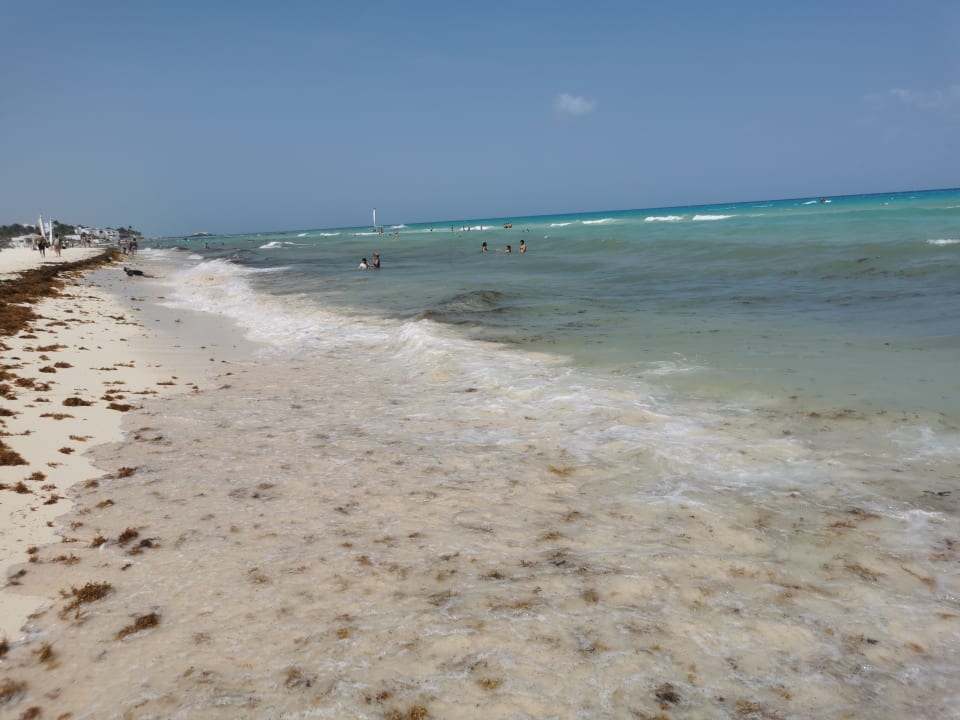 Strand Viva Azteca by Wyndham - All Inclusive Resort