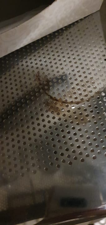 Zimmer Pension Haus Kanne