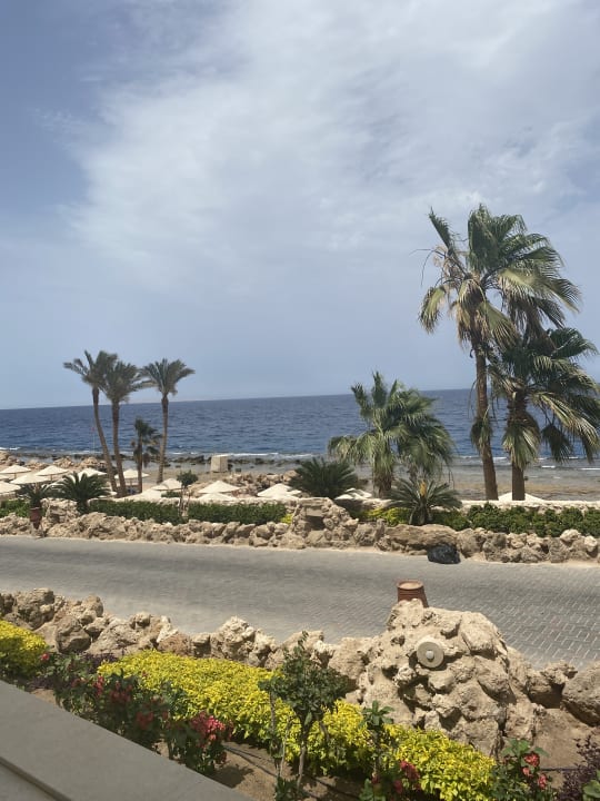 Strand Pickalbatros Citadel Resort