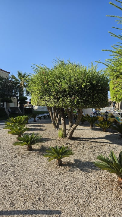 Gartenanlage Lindos Princess Beach Resort & Spa