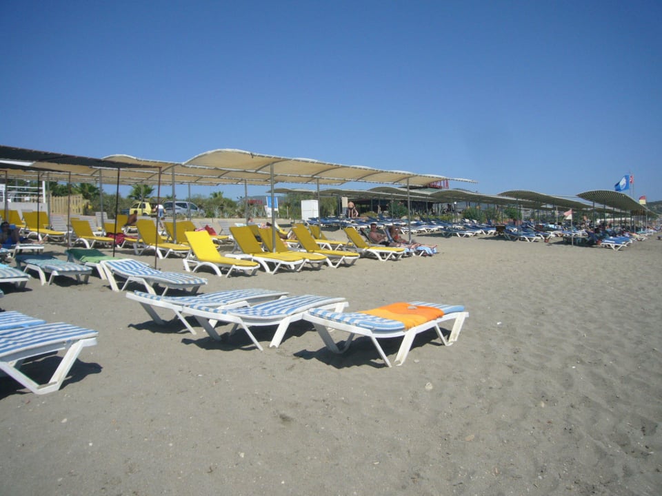 Gelbe Strandliegen gehören zum Hotel Opia Hotel