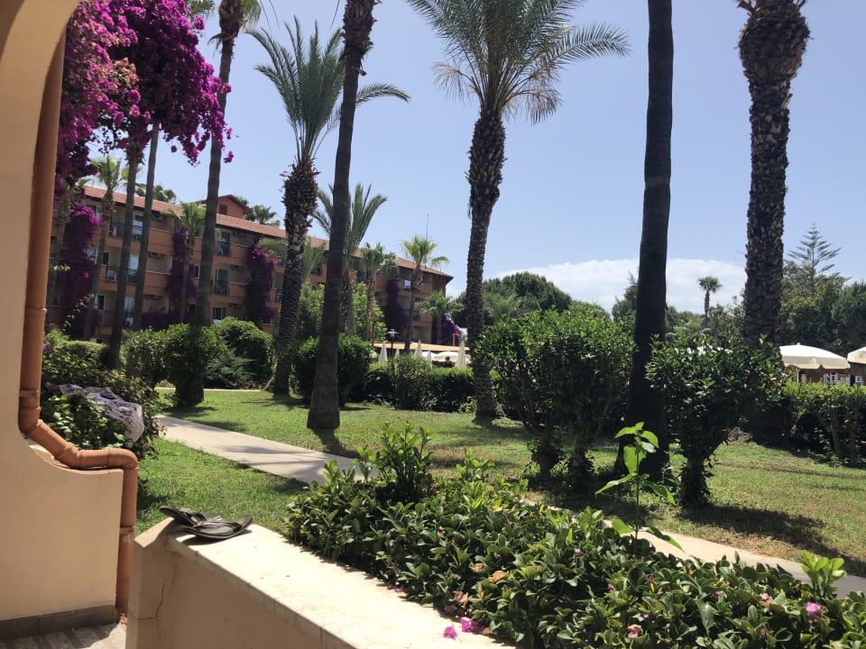 Spazierwege zwischen bunten Blumen, Palmen und Sträucher Club Turtas Beach Hotel