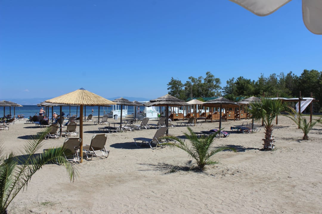 - Alea Hotel & Suites