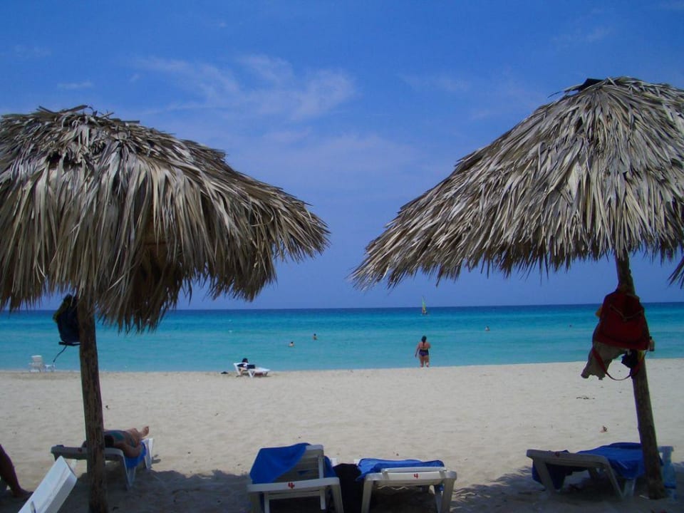 Strand Starfish Cuatro Palmas