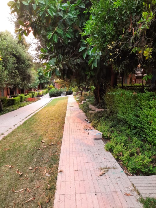 Gartenanlage Can Garden Beach