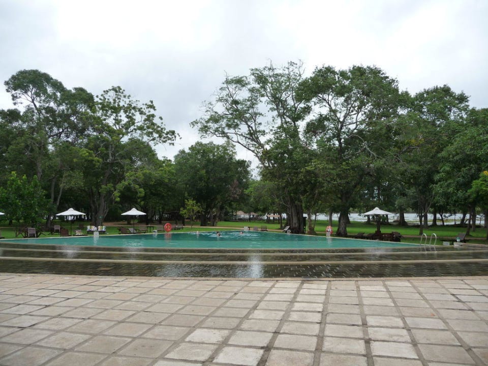 Pool Habarana Village by Cinnamon