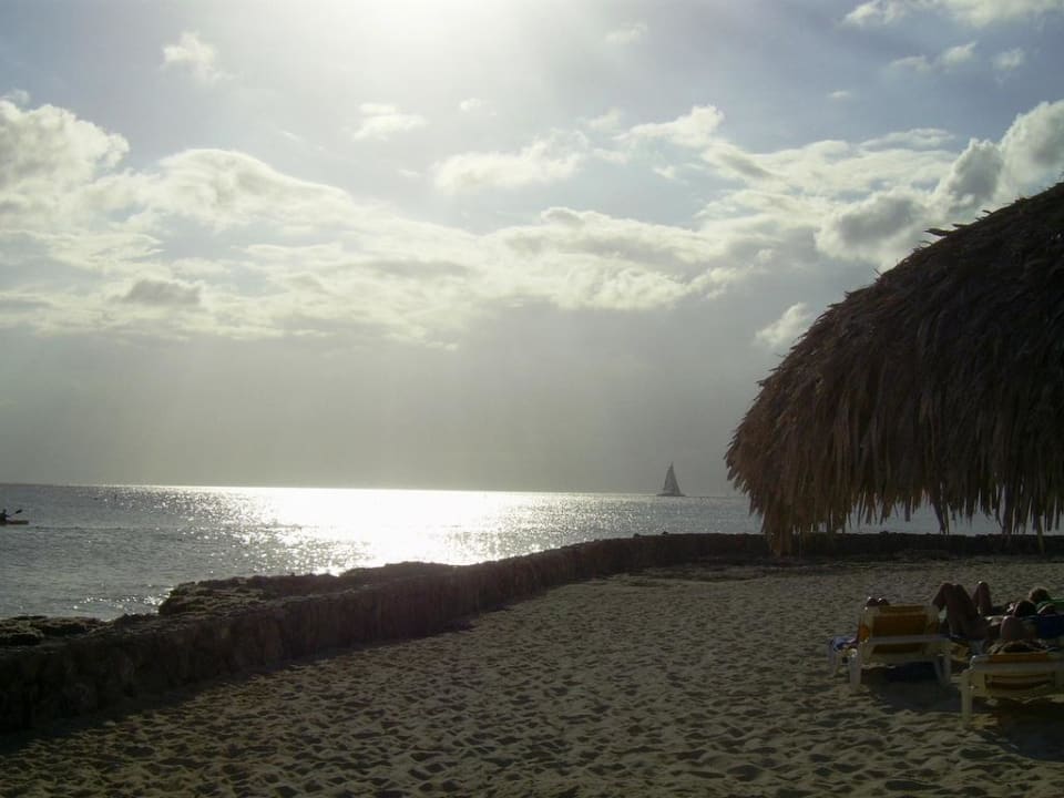 Hotelstrand Hotel Viva Dominicus Palace by Wyndham-All Inclusive Resort