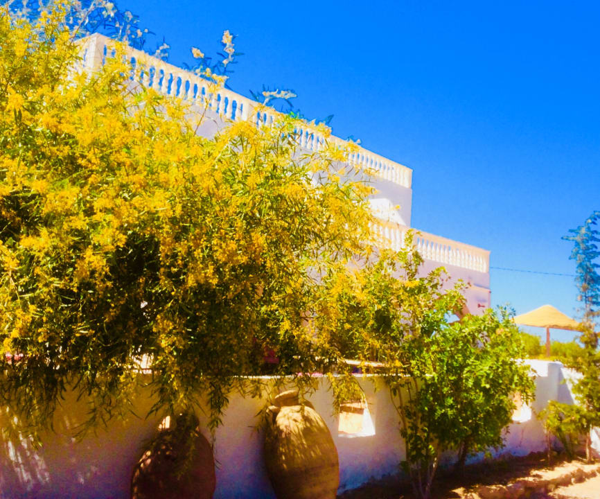 Außenansicht Maison dˋHôte Domaine El-Manar