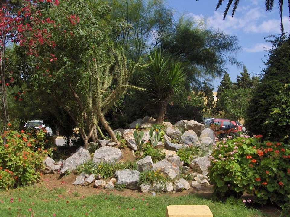 Bepflanzung der Verbindungsstraße zum Hotel El Ksar Resort & Thalasso