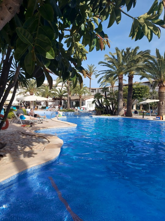 Pool Alcudia Garden Aparthotel