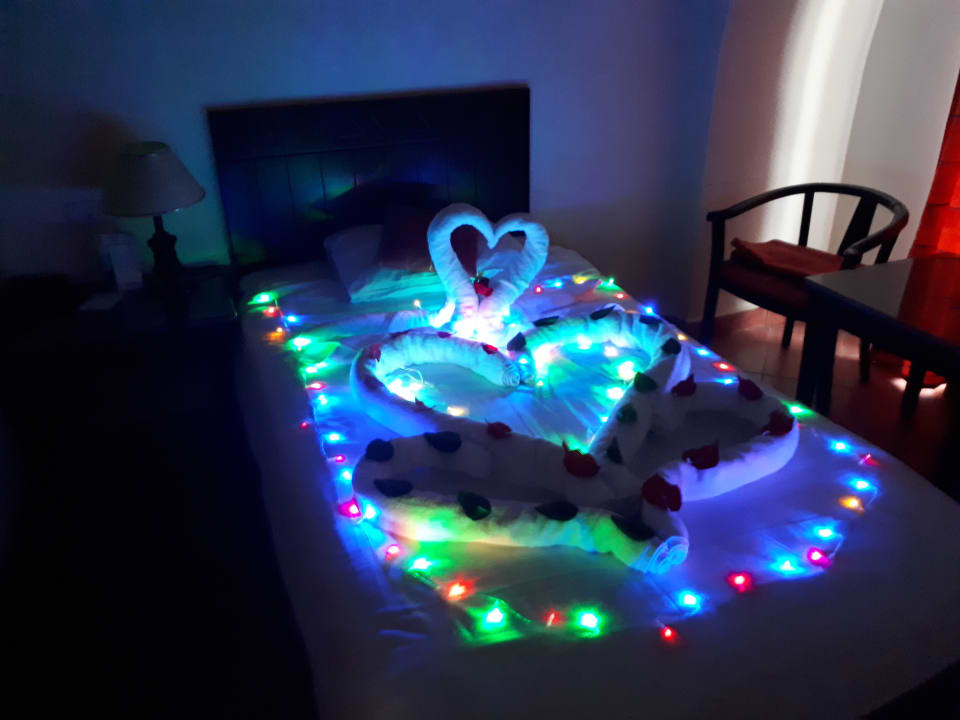 Zimmer Three Corners Sea Beach Resort