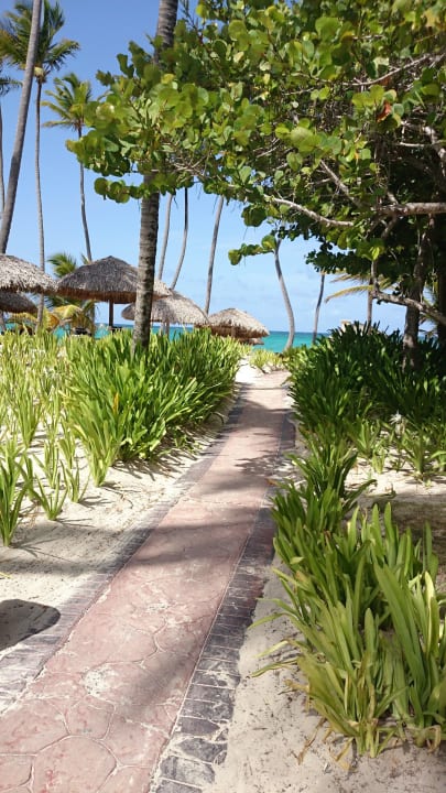 Ein Weg zum Strand Grand Palladium Select Bávaro Resort & Spa