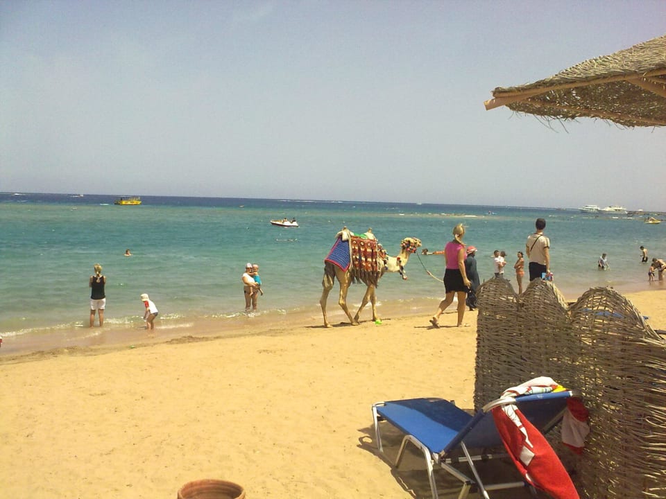 Пляж отеля Jaz Makadi Oasis Resort