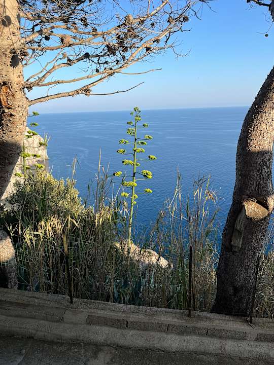 Ausblick Hotel Grazia alla Scannella