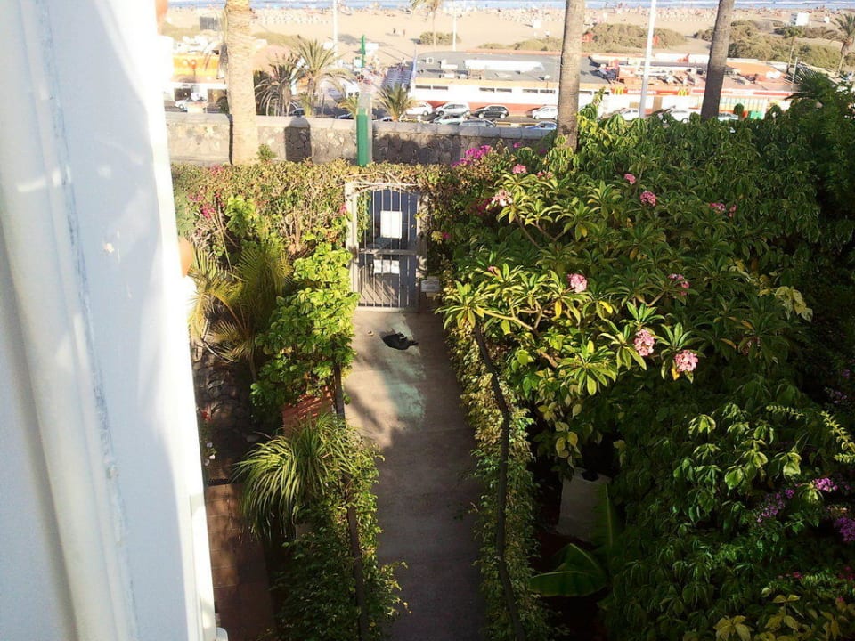 Promenade Apartamentos Nogalera