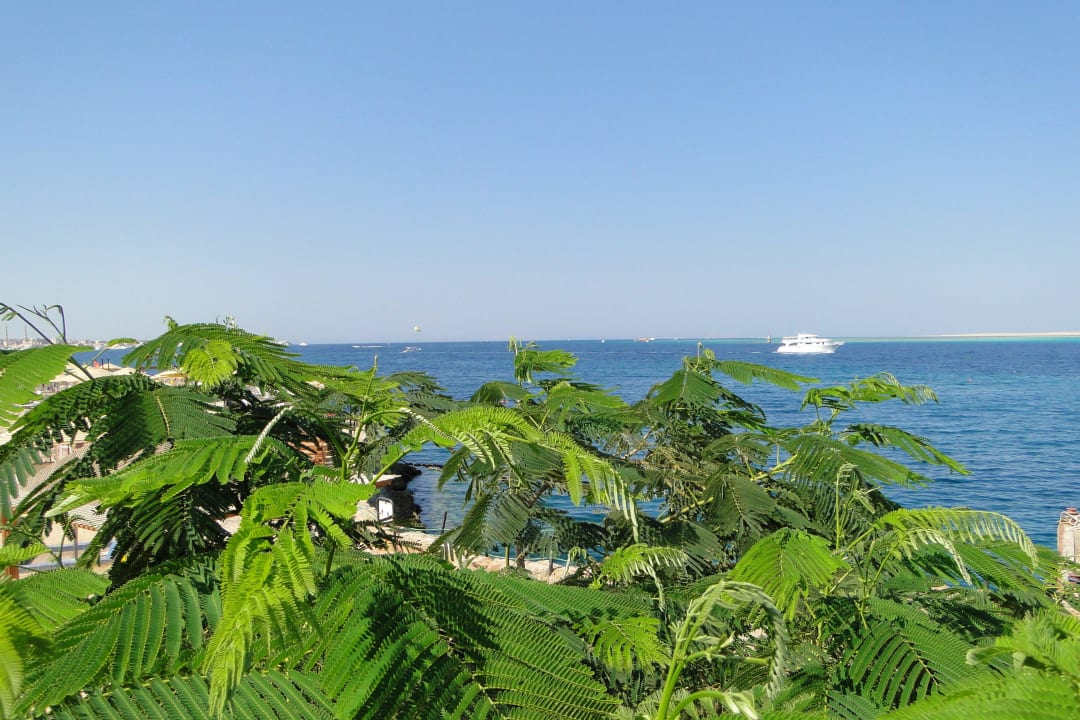 Blick aufs Meer  SUNRISE Holidays Resort (Adults Only)