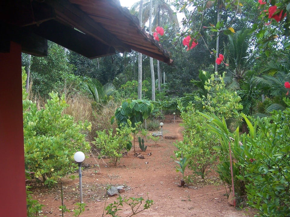 Blick aus meinem Zimmer ELDC Dreamcatcher House