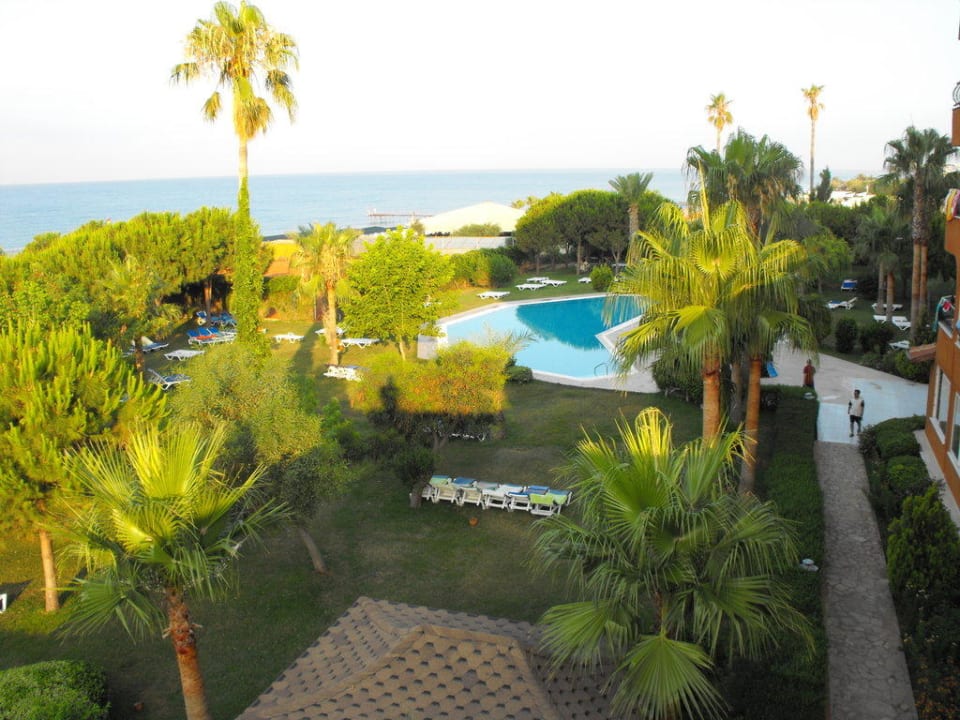 Pool ohne Animation am Morgen Club Turtas Beach Hotel