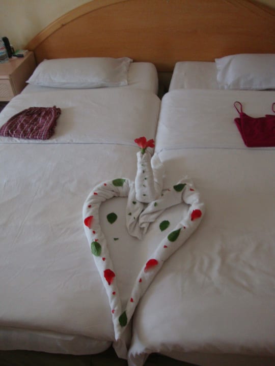 Sehr freundliche Putzmänner Ghazala Gardens