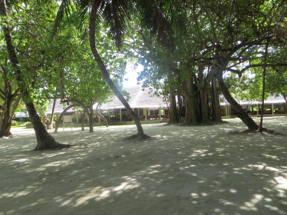 Unterwegs in der Gartenanlage Adaaran Select Hudhuran Fushi - Premium All Inclusive