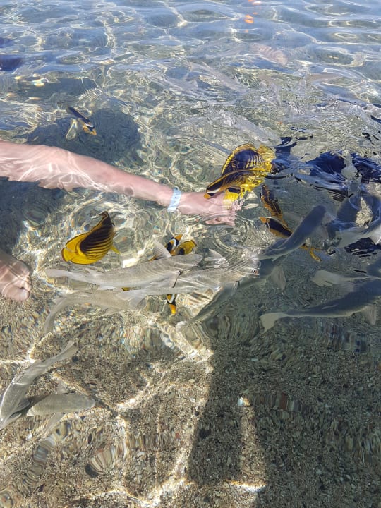 Strand Three Corners Sea Beach Resort