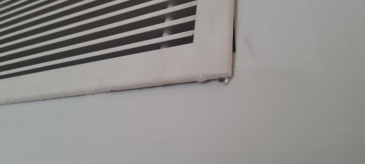 Zimmer Well Palace Side