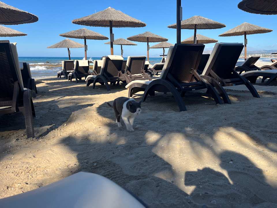 Strand Hotel Corissia Princess