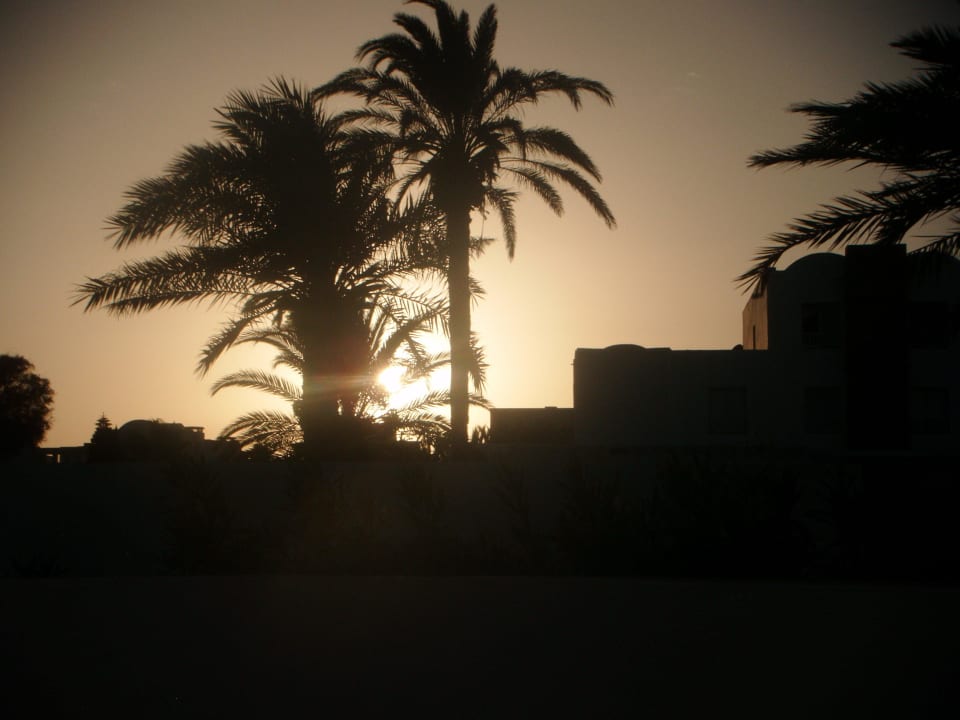 Die Abende waren himmlisch Calimera Yati Beach