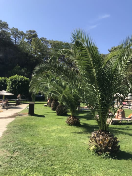 Gartenanlage TUI BLUE Seno - Adults Only