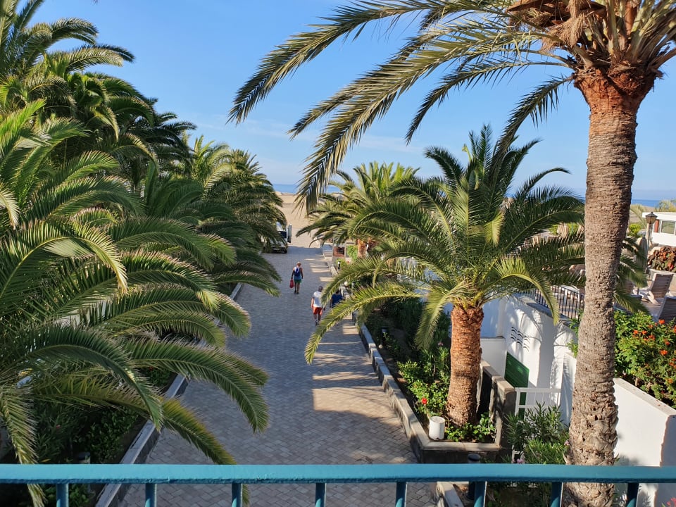 Gartenanlage Hotel Riu Palace Maspalomas Adults Only