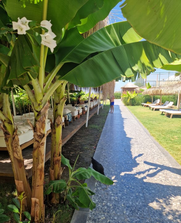 Sonstiges Rubi Platinum Sign